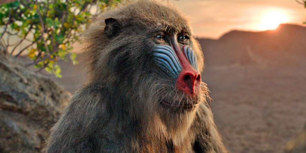 The Lion King (Aslan Kral) İncelemesi 5 The Lion King 2019 Rafiki 1 The Lion King (Aslan Kral) İncelemesi