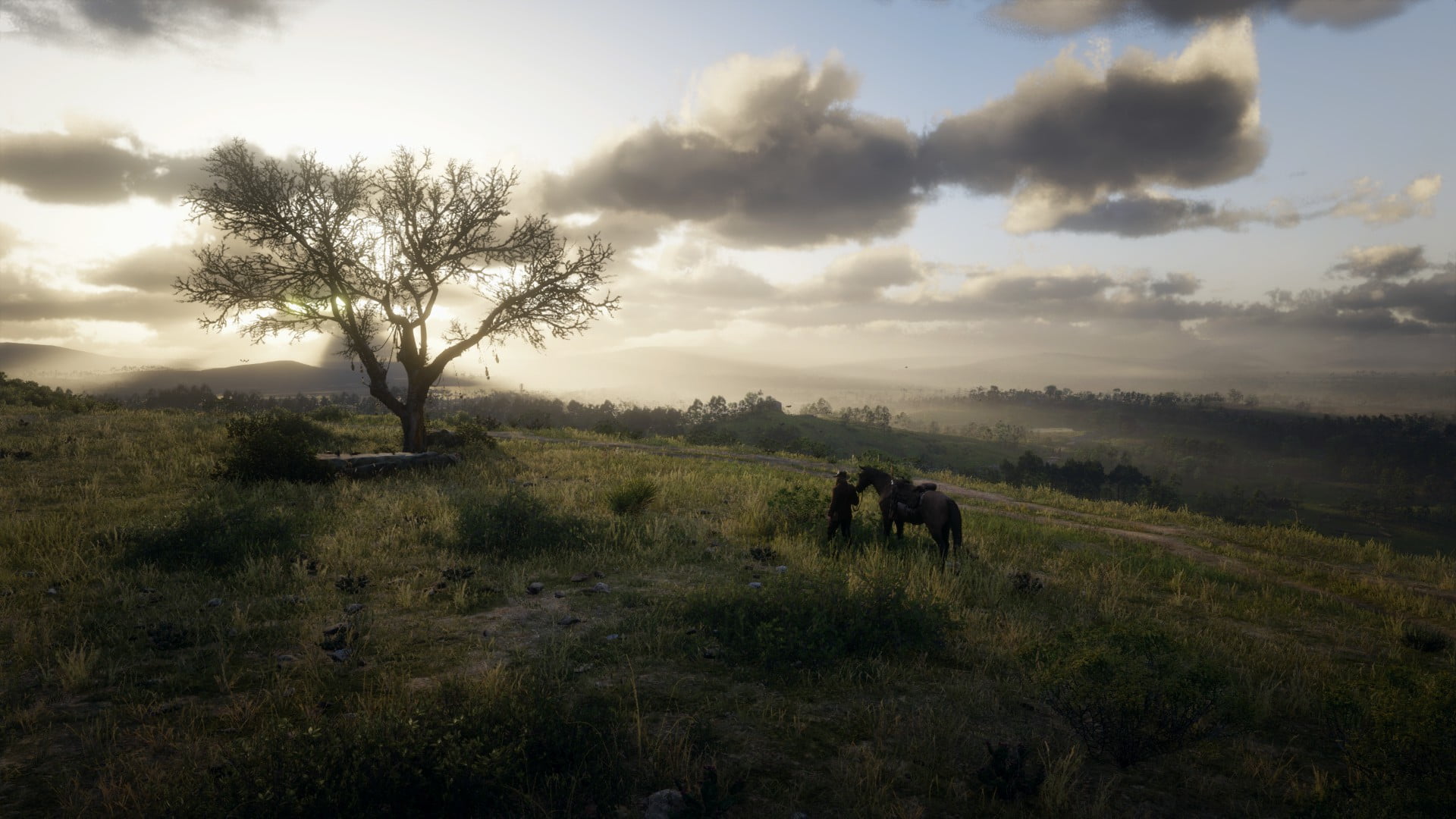 Red Dead Redemption 2 İncelemesi 1 Green 2 Red Dead Redemption 2 İncelemesi